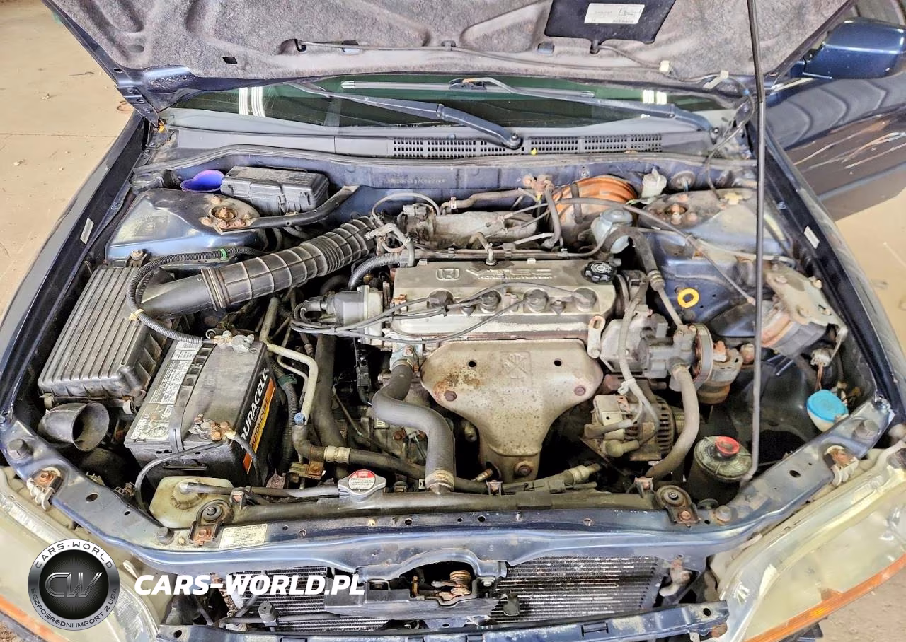 2000 Honda Accord Lx VIN:JHMCG5543YC036789 - 11