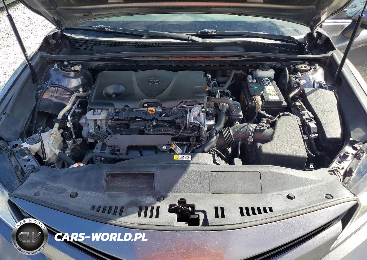 2020 Toyota Camry Le VIN:4T1C11AK2LU934069 - 11