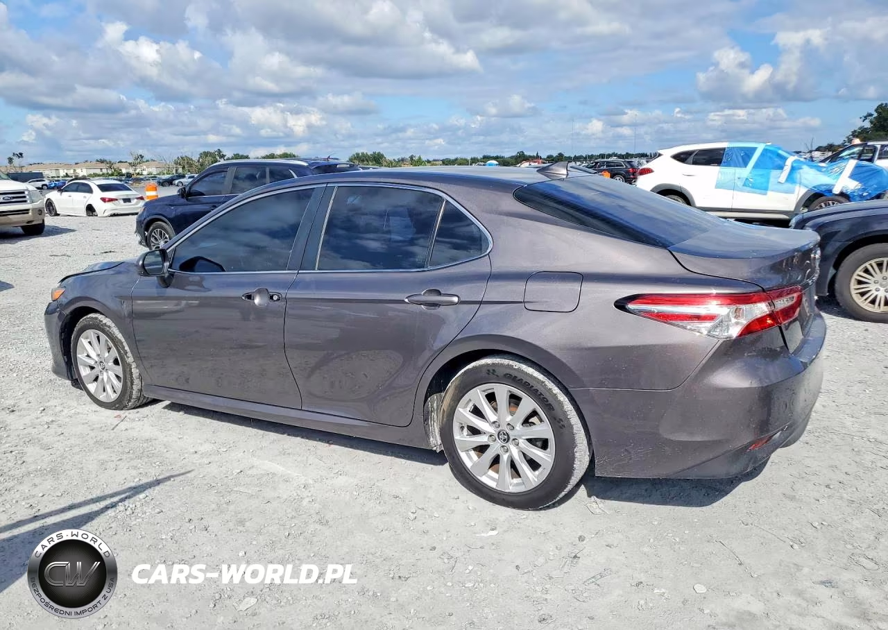 2020 Toyota Camry Le VIN:4T1C11AK2LU934069 - 2