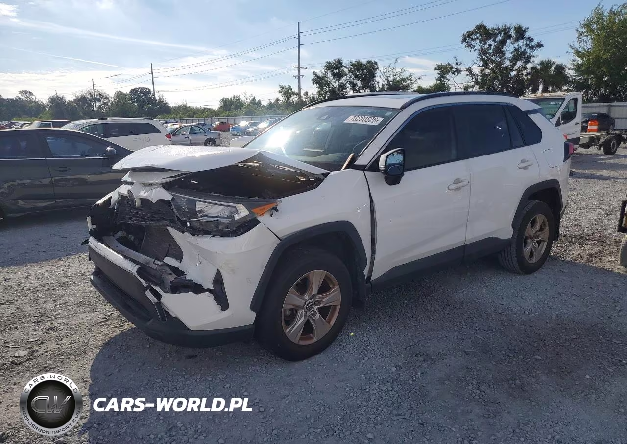 2019 Toyota Rav4 Xle VIN:JTMW1RFV2KJ002389 - 1
