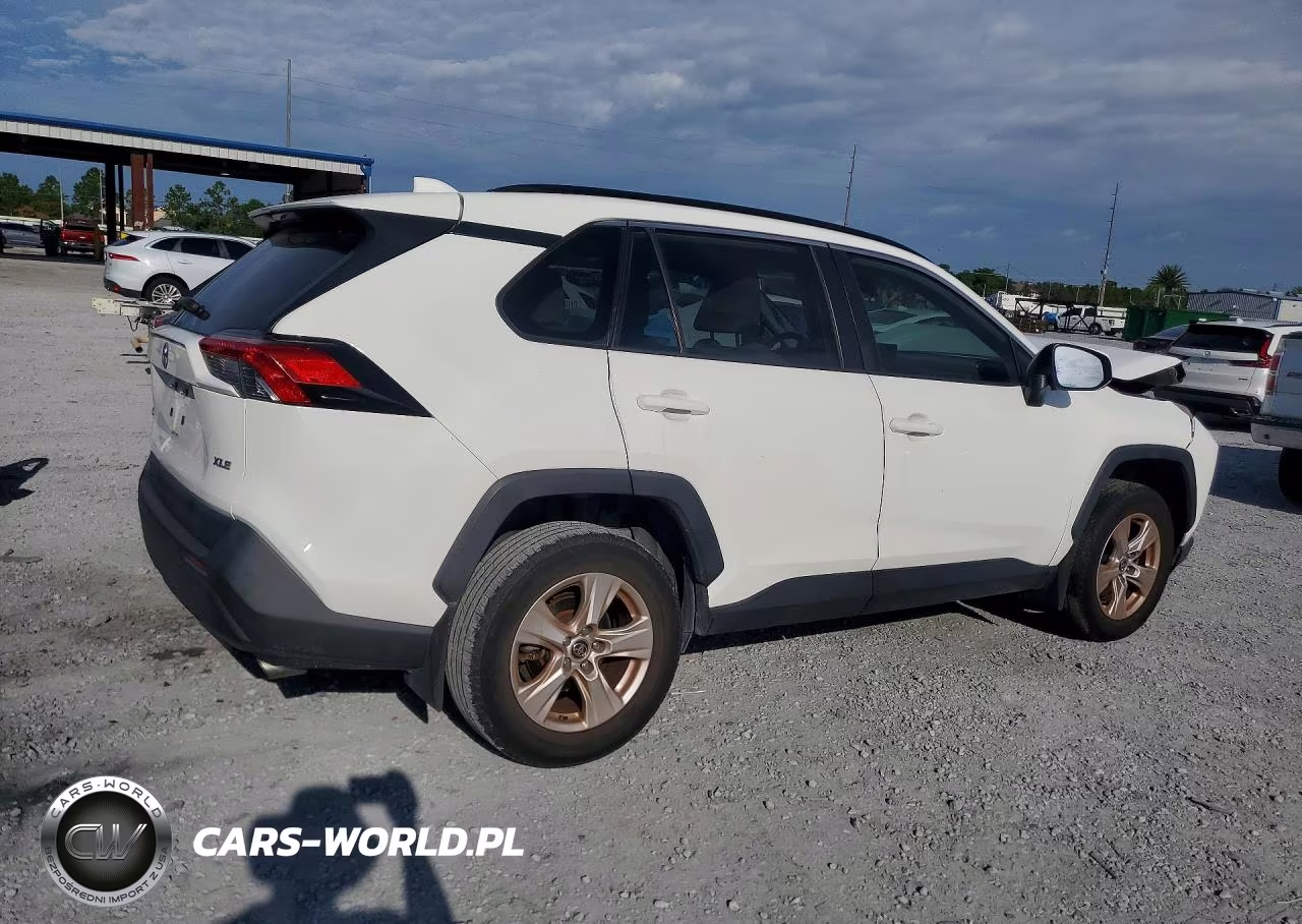 2019 Toyota Rav4 Xle VIN:JTMW1RFV2KJ002389 - 3