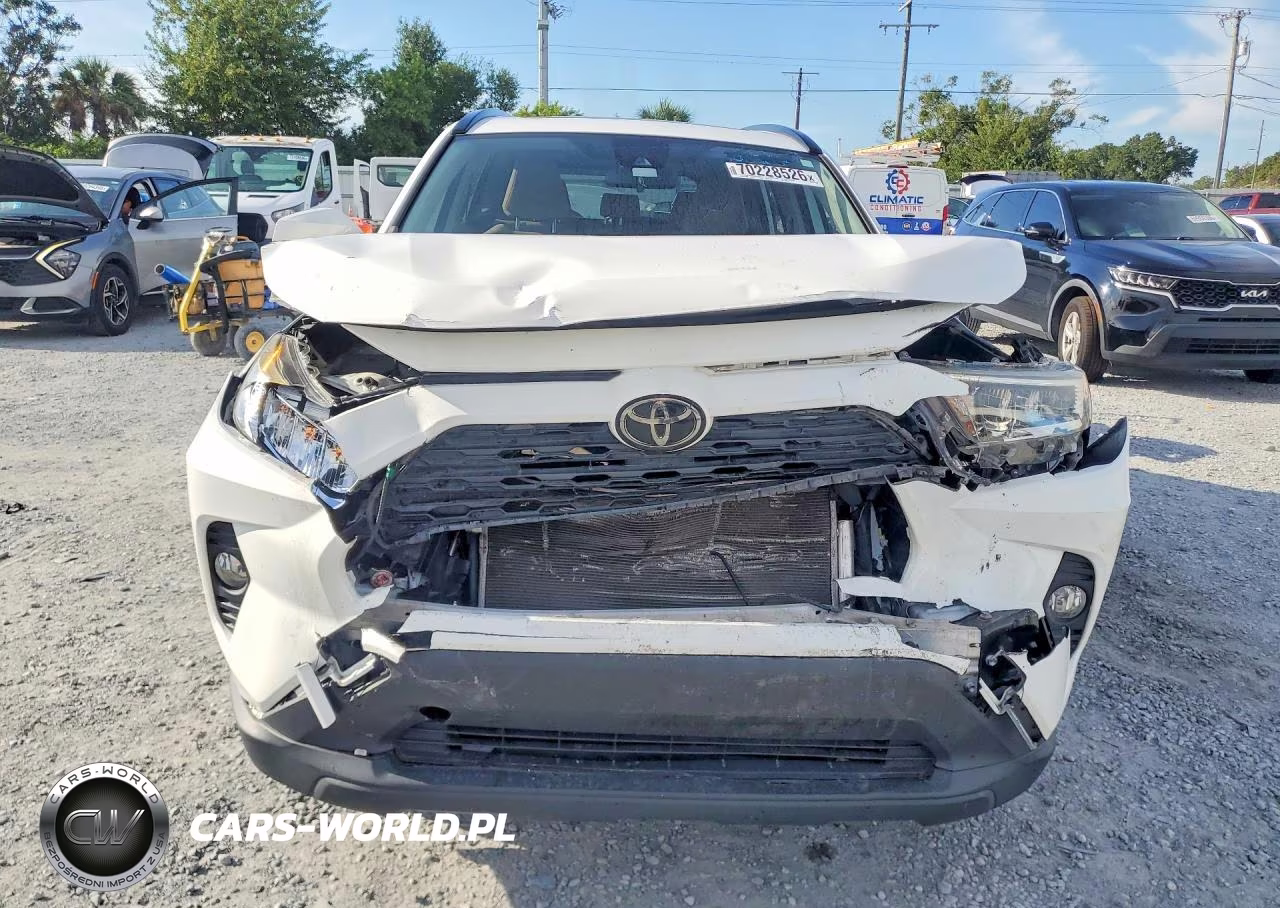 2019 Toyota Rav4 Xle VIN:JTMW1RFV2KJ002389 - 5