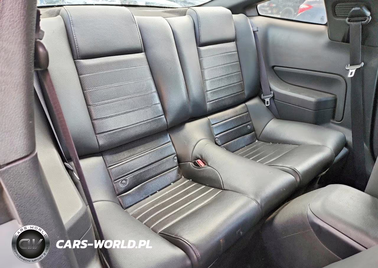 2006 Ford Mustang Gt VIN:1ZVFT82H765203804 - 10
