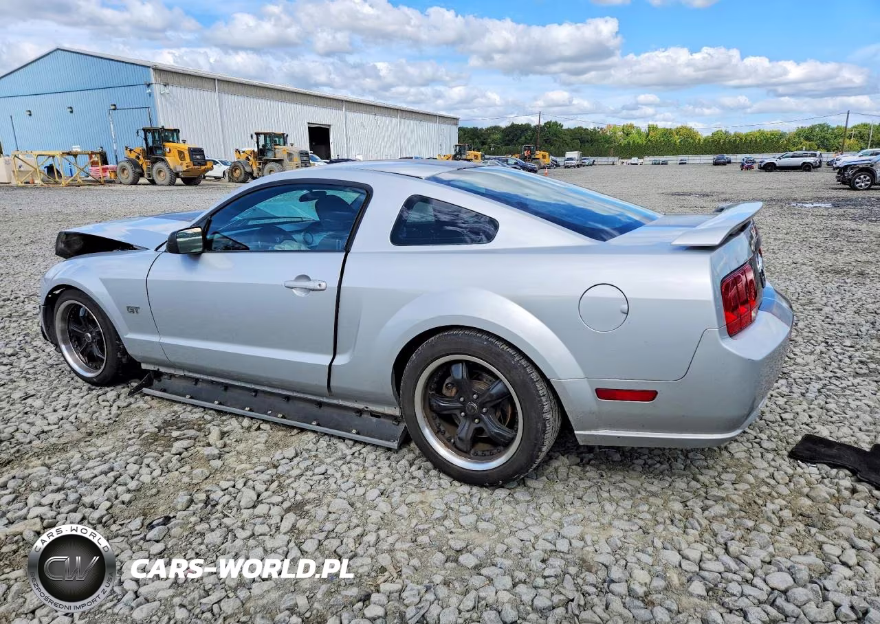 2006 Ford Mustang Gt VIN:1ZVFT82H765203804 - 2