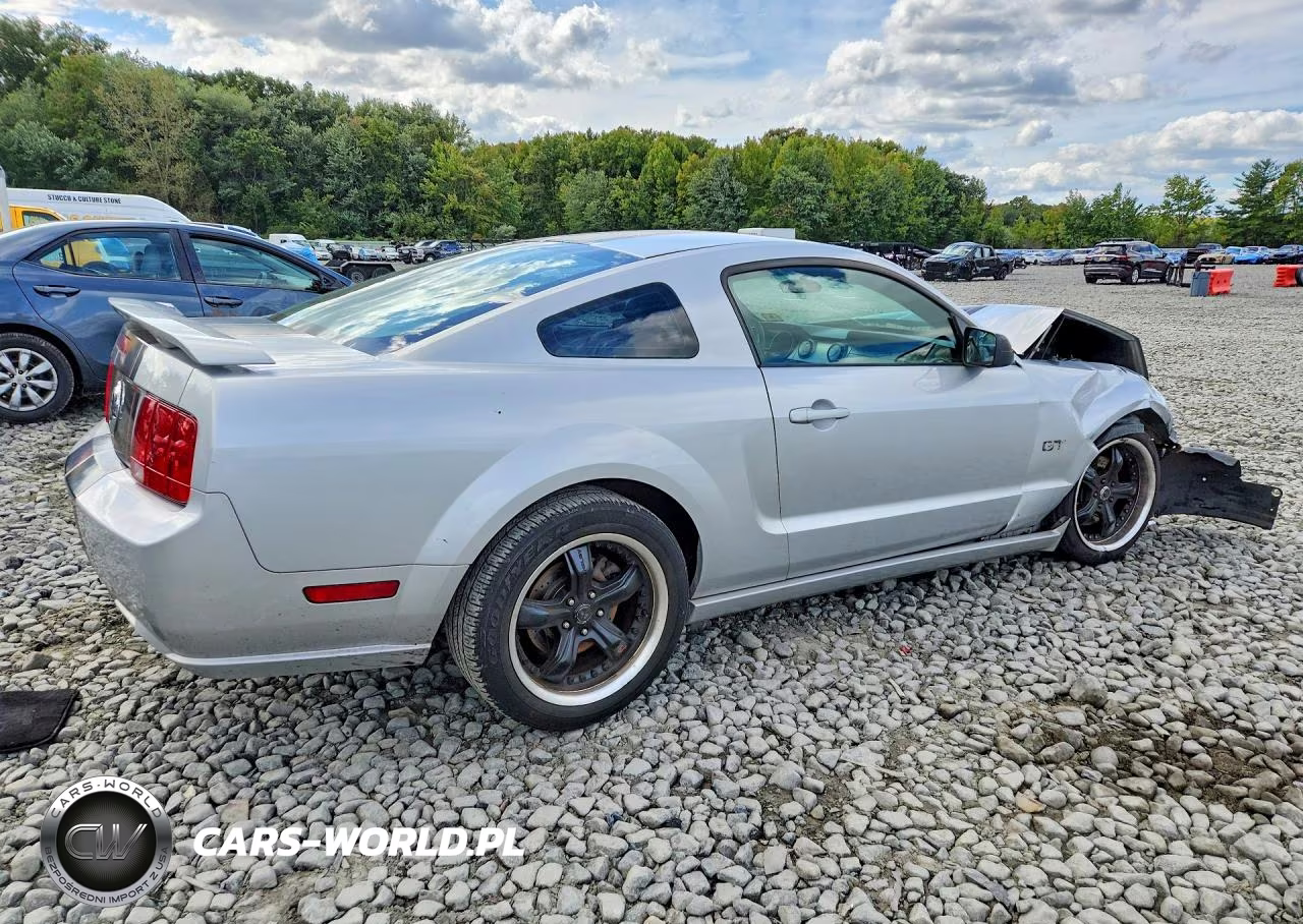 2006 Ford Mustang Gt VIN:1ZVFT82H765203804 - 3