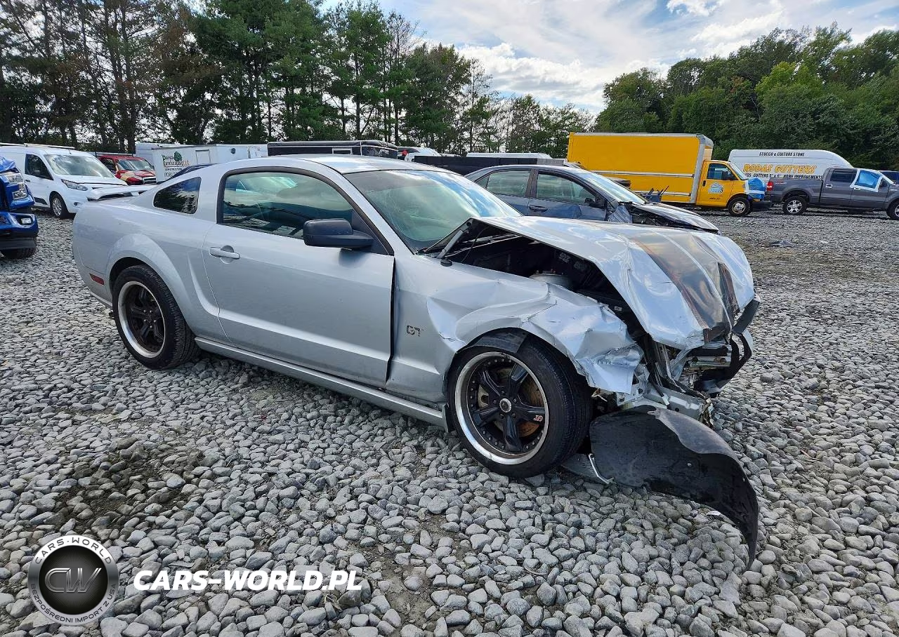 2006 Ford Mustang Gt VIN:1ZVFT82H765203804 - 4