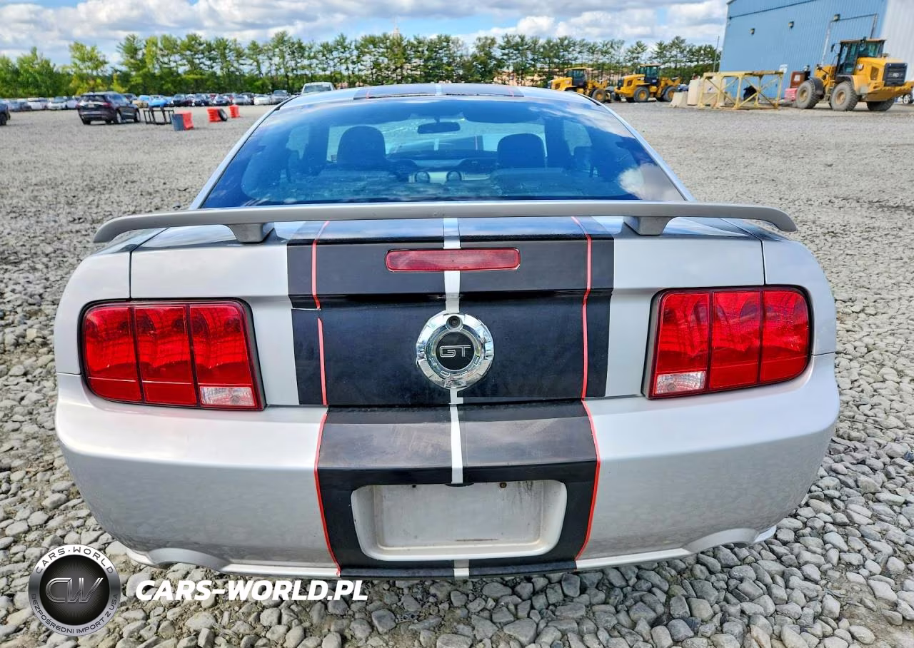 2006 Ford Mustang Gt VIN:1ZVFT82H765203804 - 6