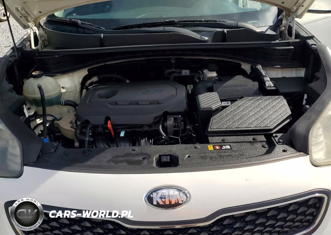 2019 Kia Sportage Lx VIN:KNDPM3AC7K7615460 - 12