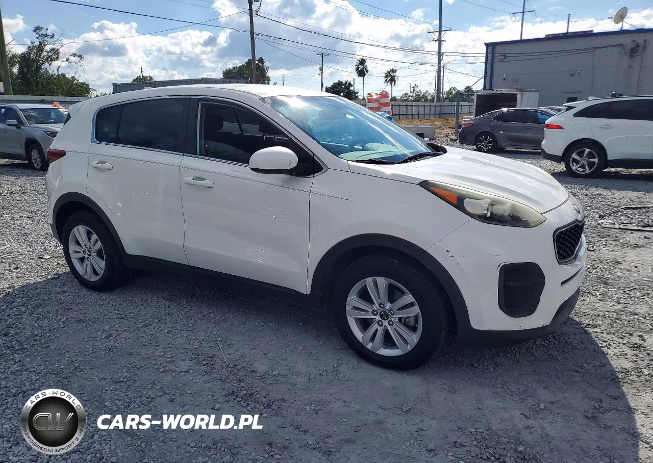 2019 Kia Sportage Lx VIN:KNDPM3AC7K7615460 - 4