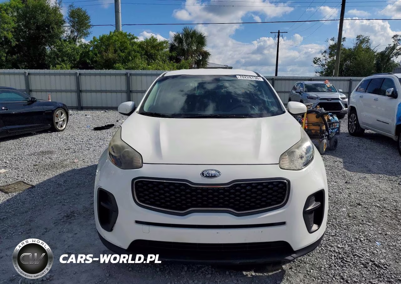 2019 Kia Sportage Lx VIN:KNDPM3AC7K7615460 - 5