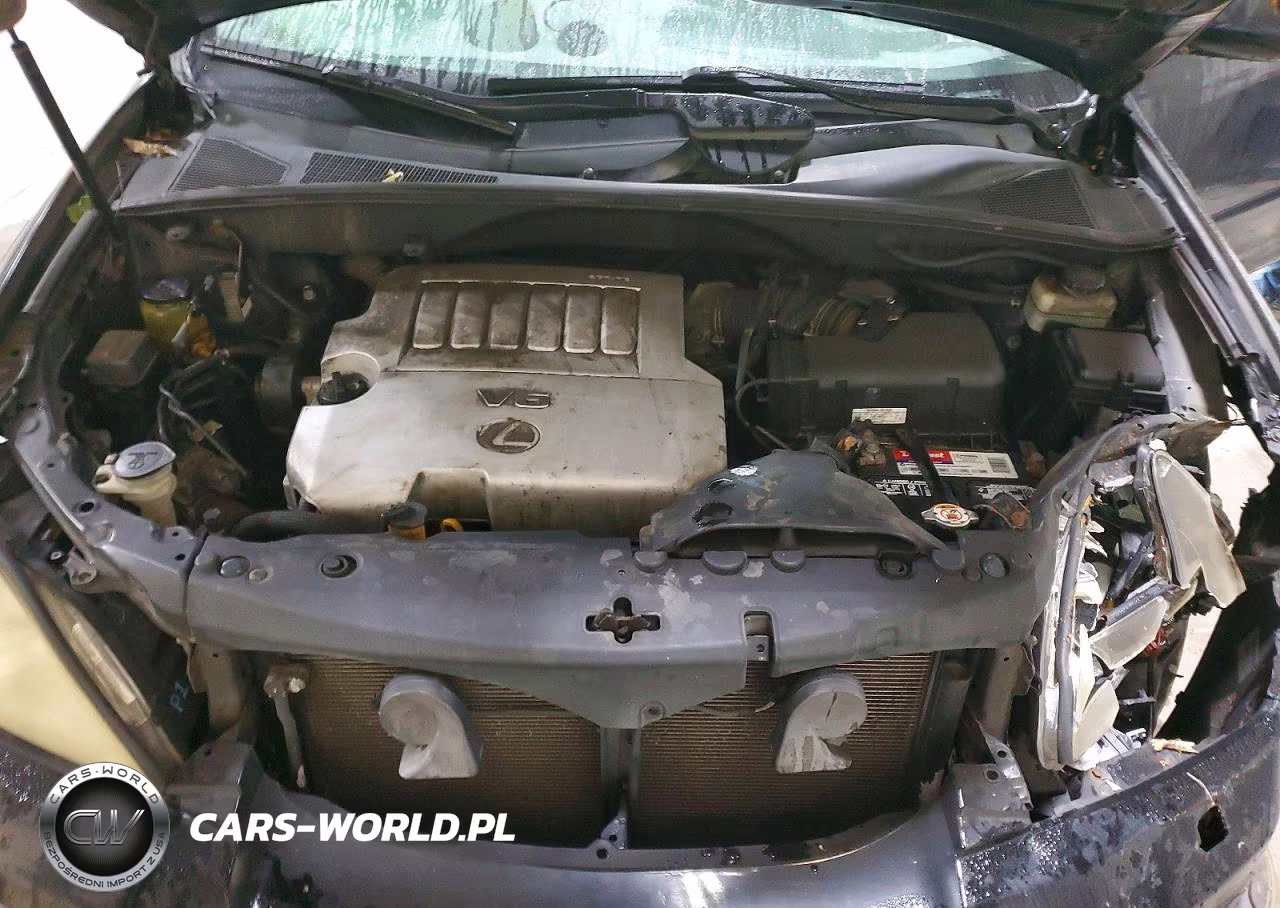 2007 Lexus Rx 350 VIN:2T2HK31U37C006905 - 12