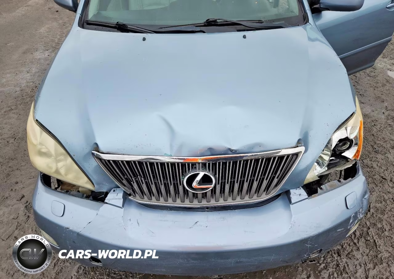 2004 Lexus Rx 330 VIN:2T2HA31U14C035575 - 11