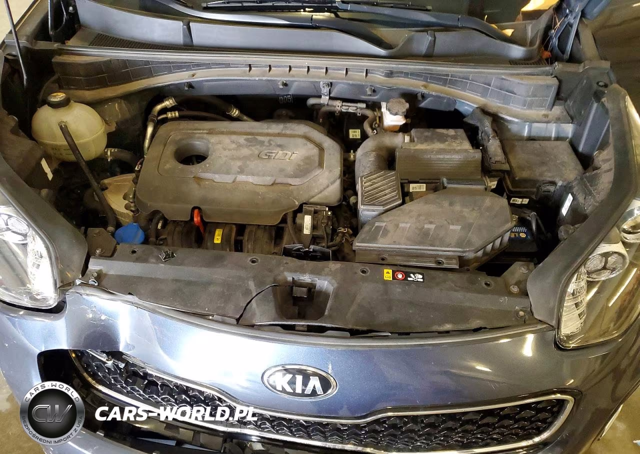 2017 Kia Sportage Lx VIN:KNDPMCAC6H7230500 - 12