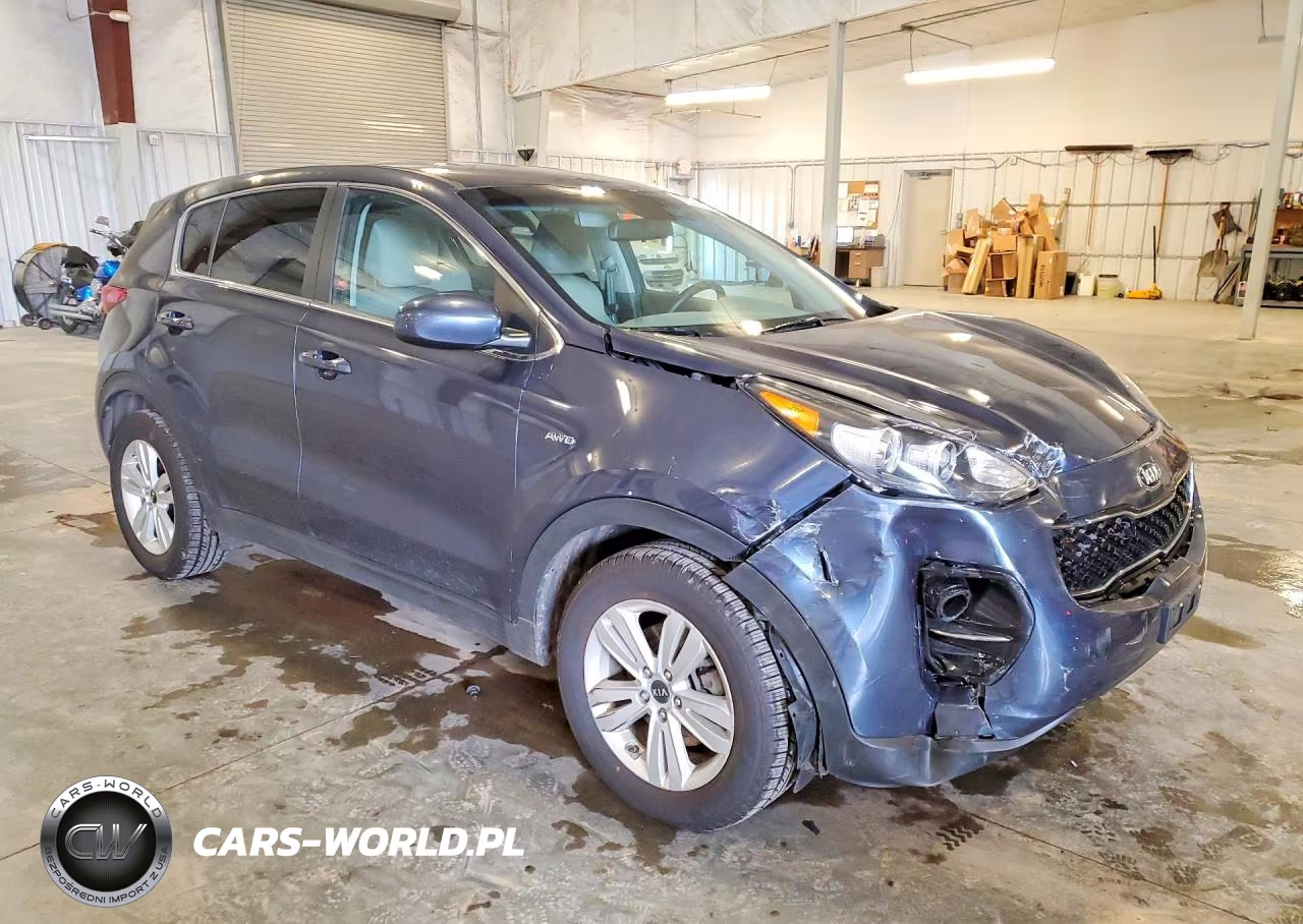 2017 Kia Sportage Lx VIN:KNDPMCAC6H7230500 - 4