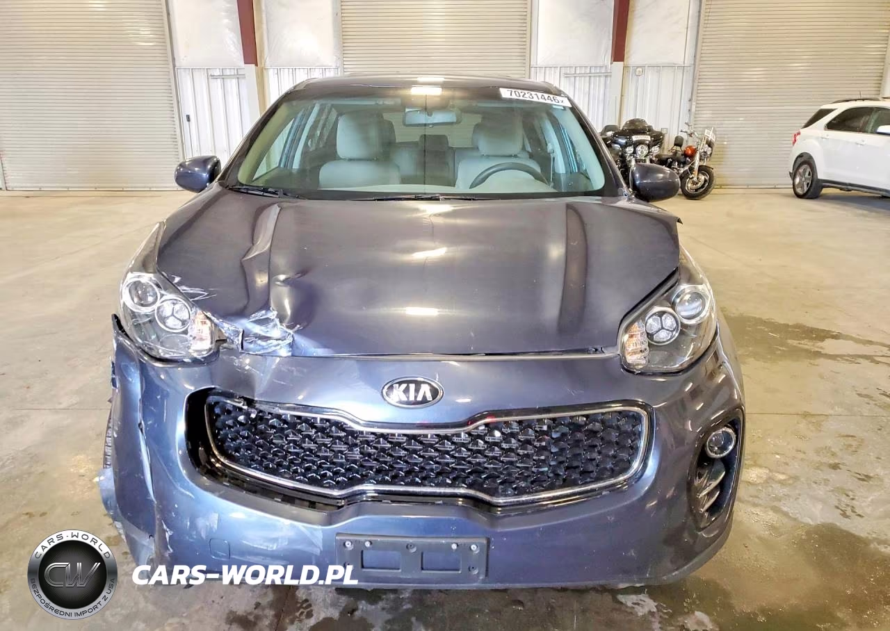 2017 Kia Sportage Lx VIN:KNDPMCAC6H7230500 - 5