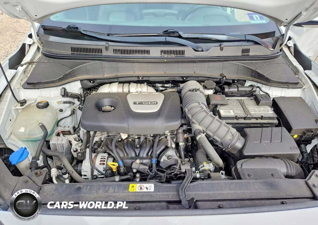 2019 Hyundai Kona Ultimate VIN:KM8K53A53KU269350 - 12