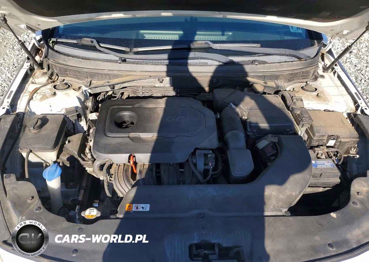 2015 Hyundai Sonata Se VIN:5NPE24AF2FH205700 - 11