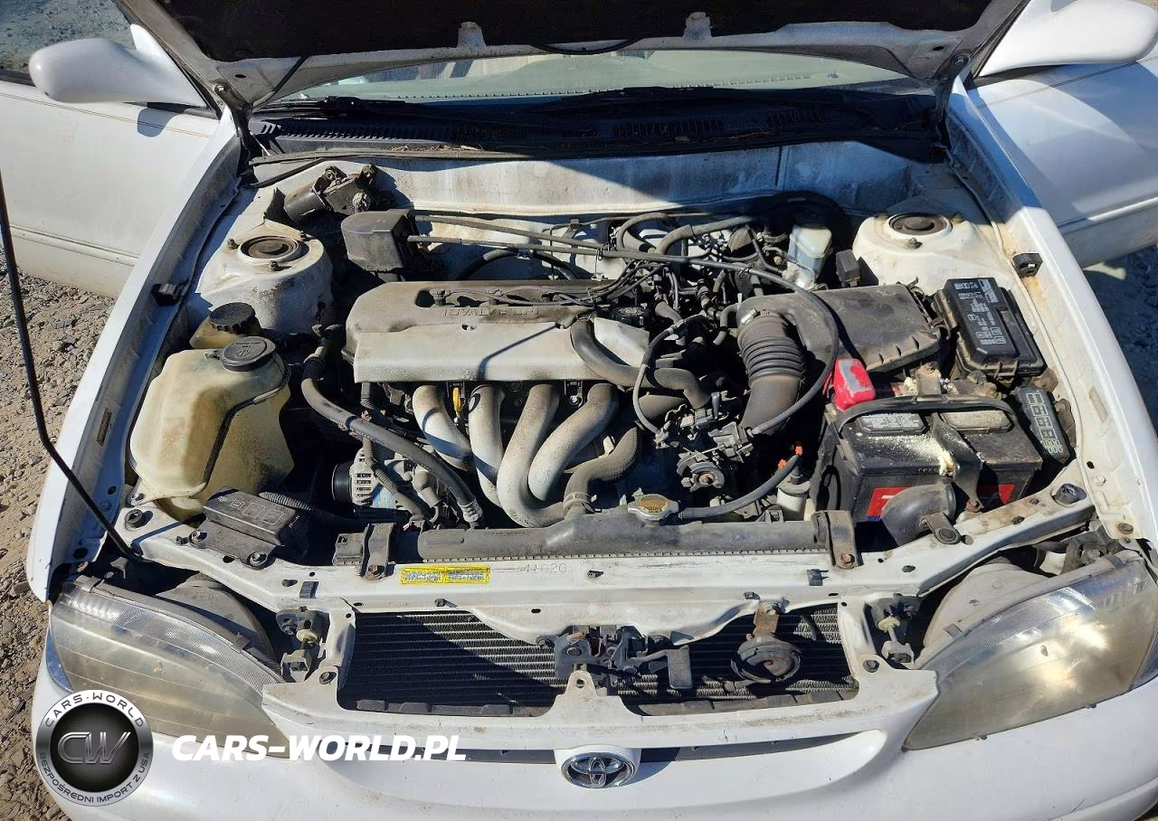 1998 Toyota Corolla Ve VIN:2T1BR18E3WC064729 - 11