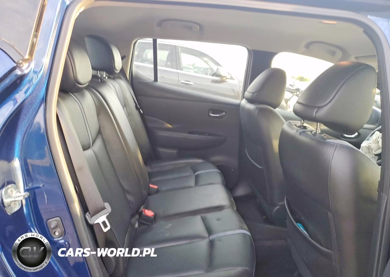 2019 Nissan Leaf Sl Plus VIN:1N4BZ1CP5KC319995 - 10