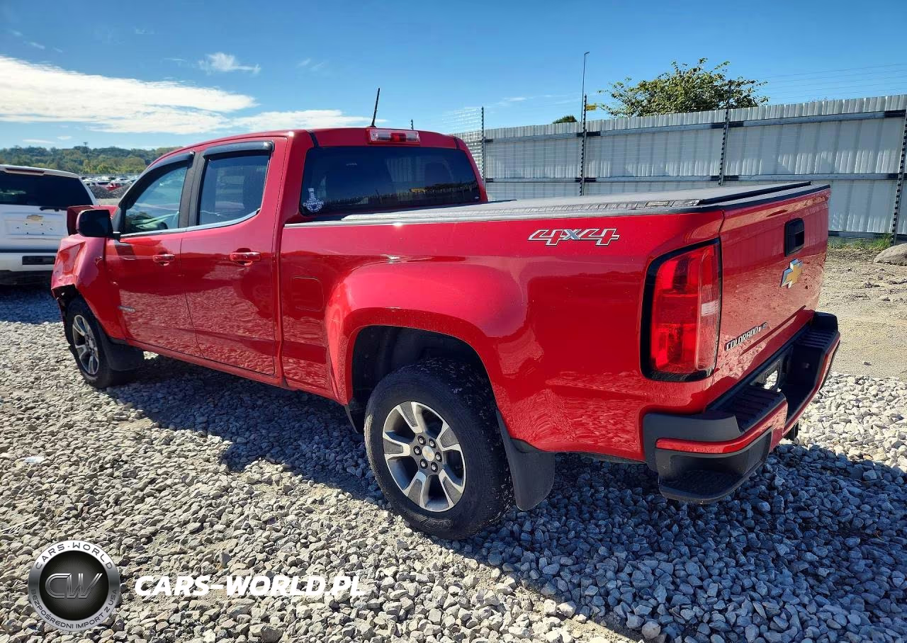 2019 Chevrolet Colorado VIN:1GCGTBEN9K1173048 - 2