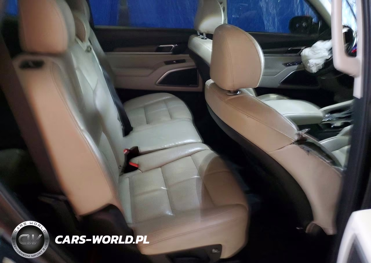 2020 Kia Telluride Ex VIN:5XYP3DHC0LG091670 - 11