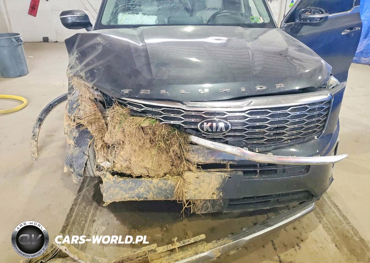 2020 Kia Telluride Ex VIN:5XYP3DHC0LG091670 - 12