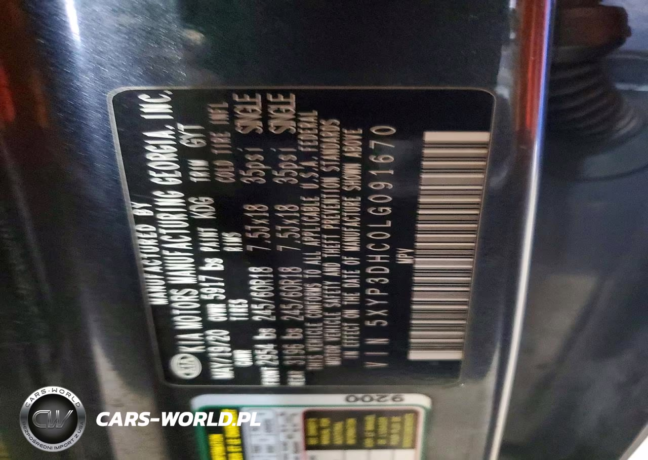 2020 Kia Telluride Ex VIN:5XYP3DHC0LG091670 - 13