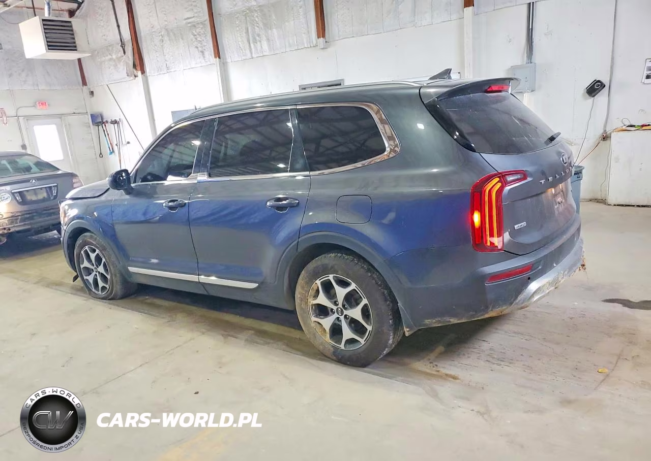2020 Kia Telluride Ex VIN:5XYP3DHC0LG091670 - 2