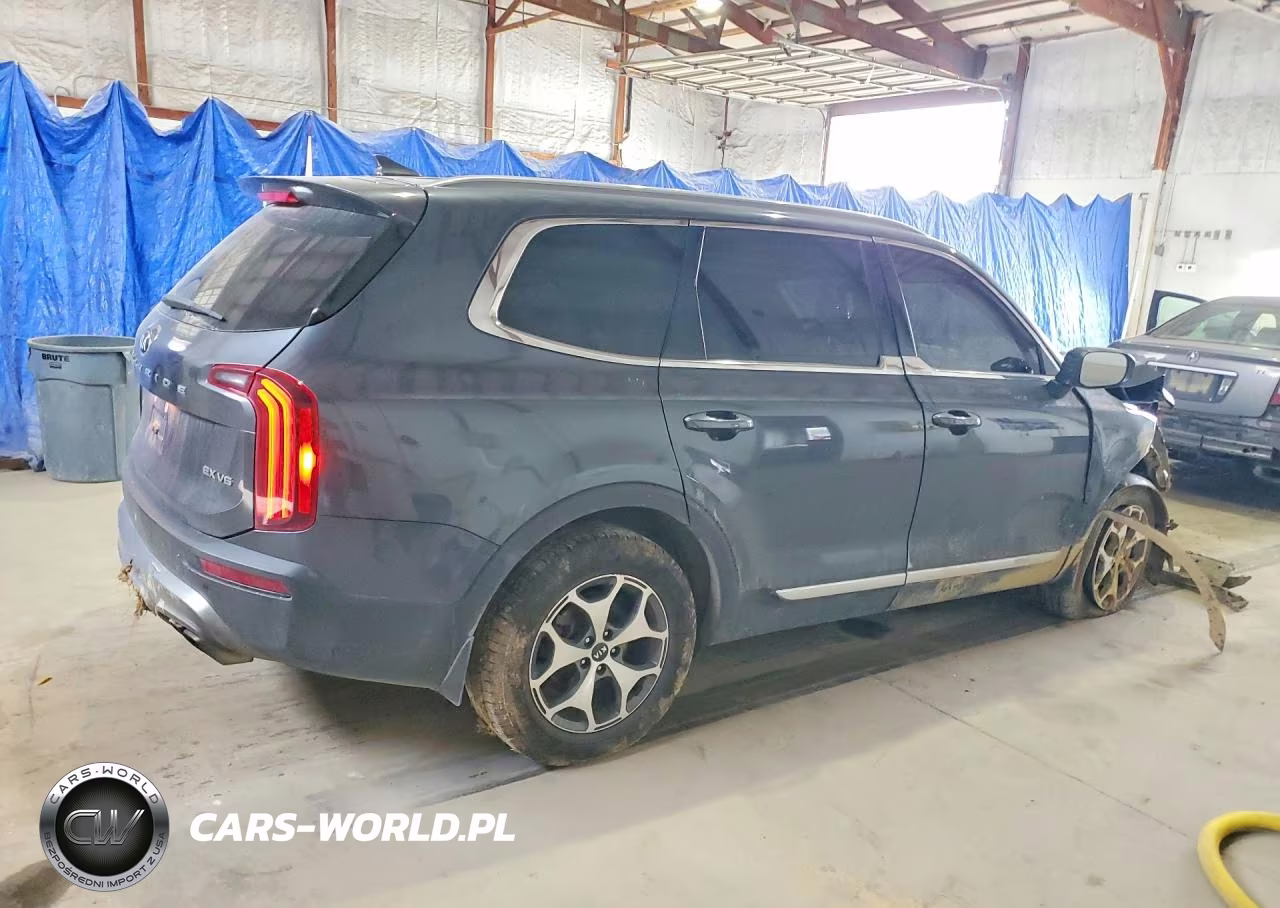 2020 Kia Telluride Ex VIN:5XYP3DHC0LG091670 - 3