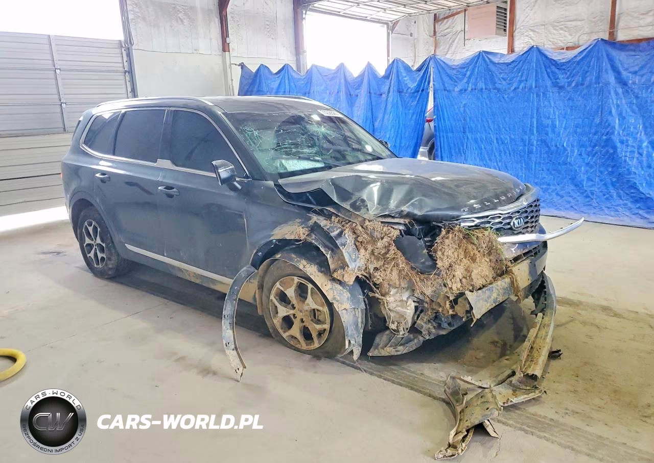 2020 Kia Telluride Ex VIN:5XYP3DHC0LG091670 - 4