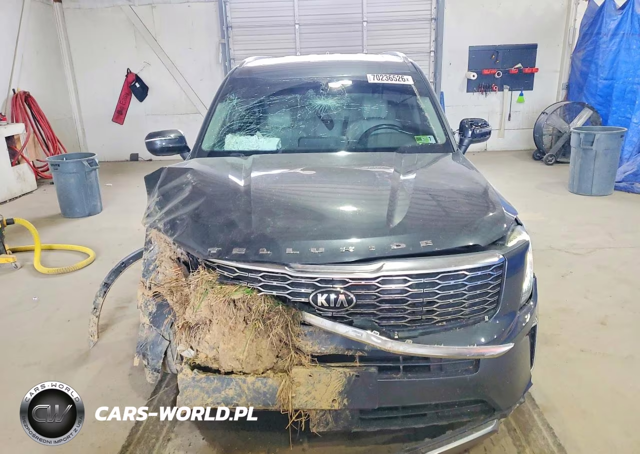 2020 Kia Telluride Ex VIN:5XYP3DHC0LG091670 - 5