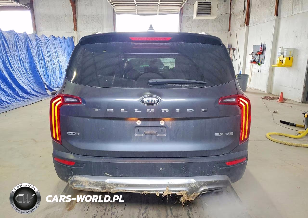 2020 Kia Telluride Ex VIN:5XYP3DHC0LG091670 - 6