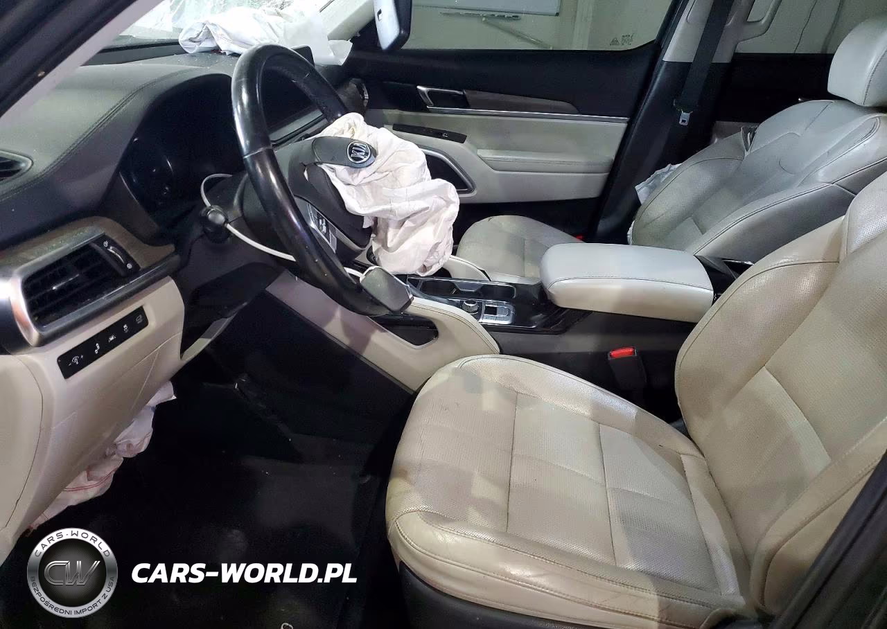 2020 Kia Telluride Ex VIN:5XYP3DHC0LG091670 - 7