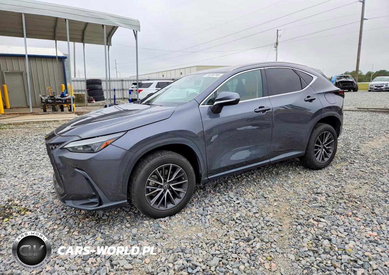 2023 Lexus Nx 250 VIN:2T2GDCAZ2PC005066 - 1