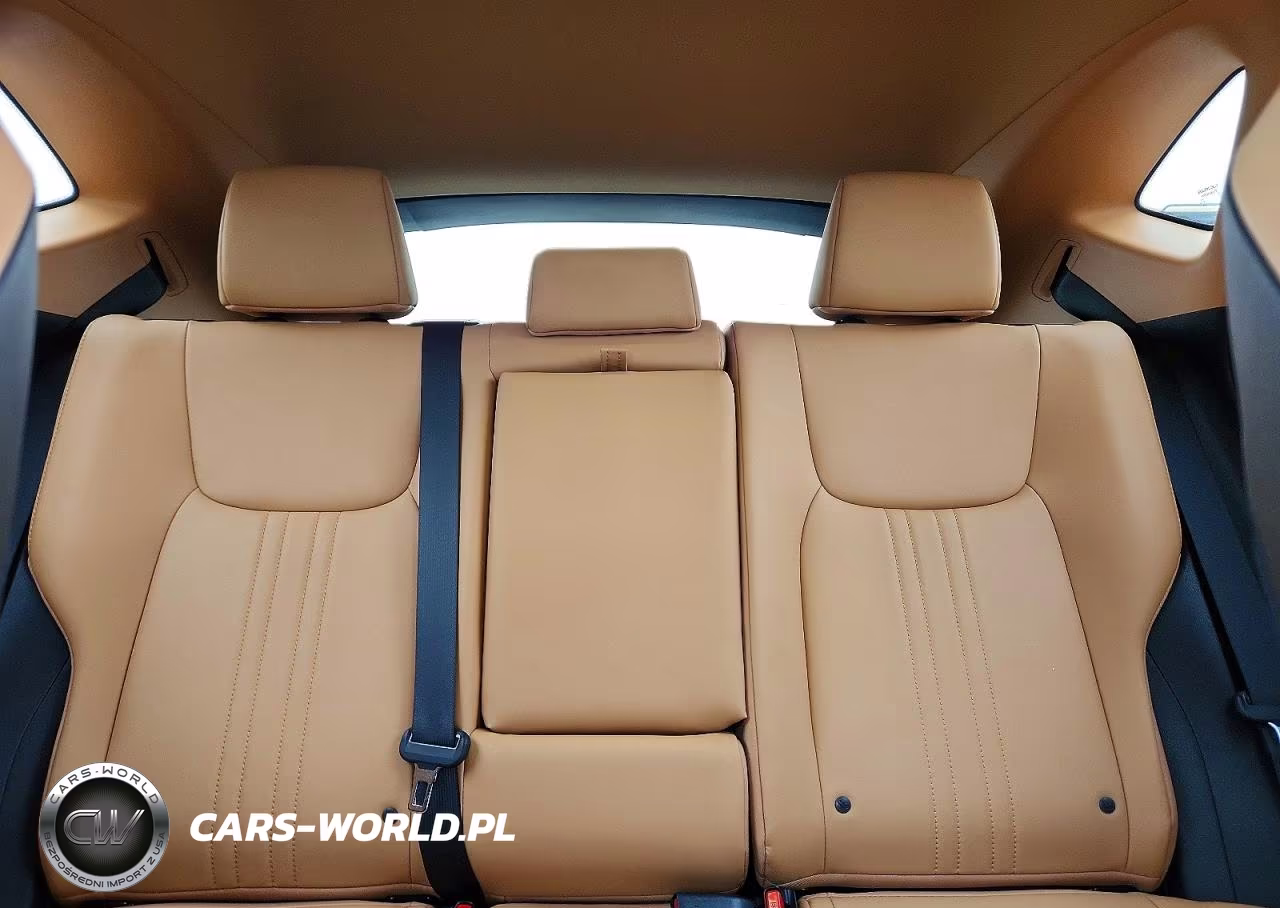 2023 Lexus Nx 250 VIN:2T2GDCAZ2PC005066 - 10