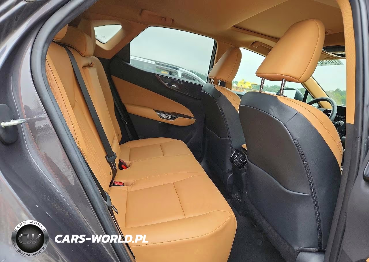 2023 Lexus Nx 250 VIN:2T2GDCAZ2PC005066 - 11