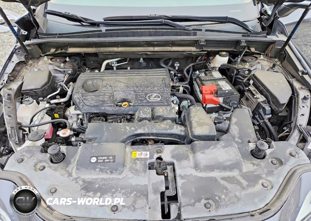 2023 Lexus Nx 250 VIN:2T2GDCAZ2PC005066 - 12