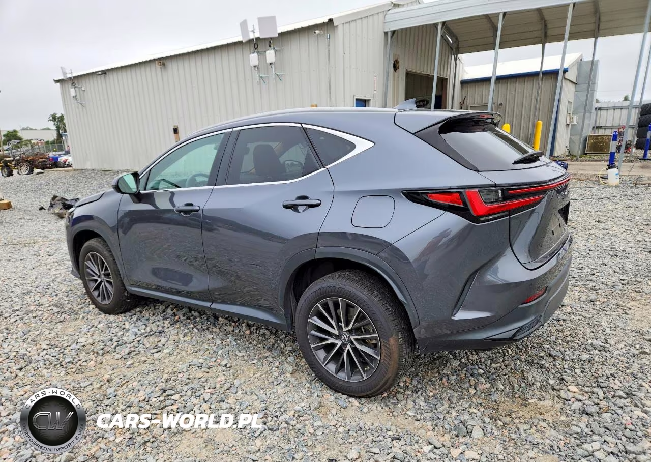 2023 Lexus Nx 250 VIN:2T2GDCAZ2PC005066 - 2