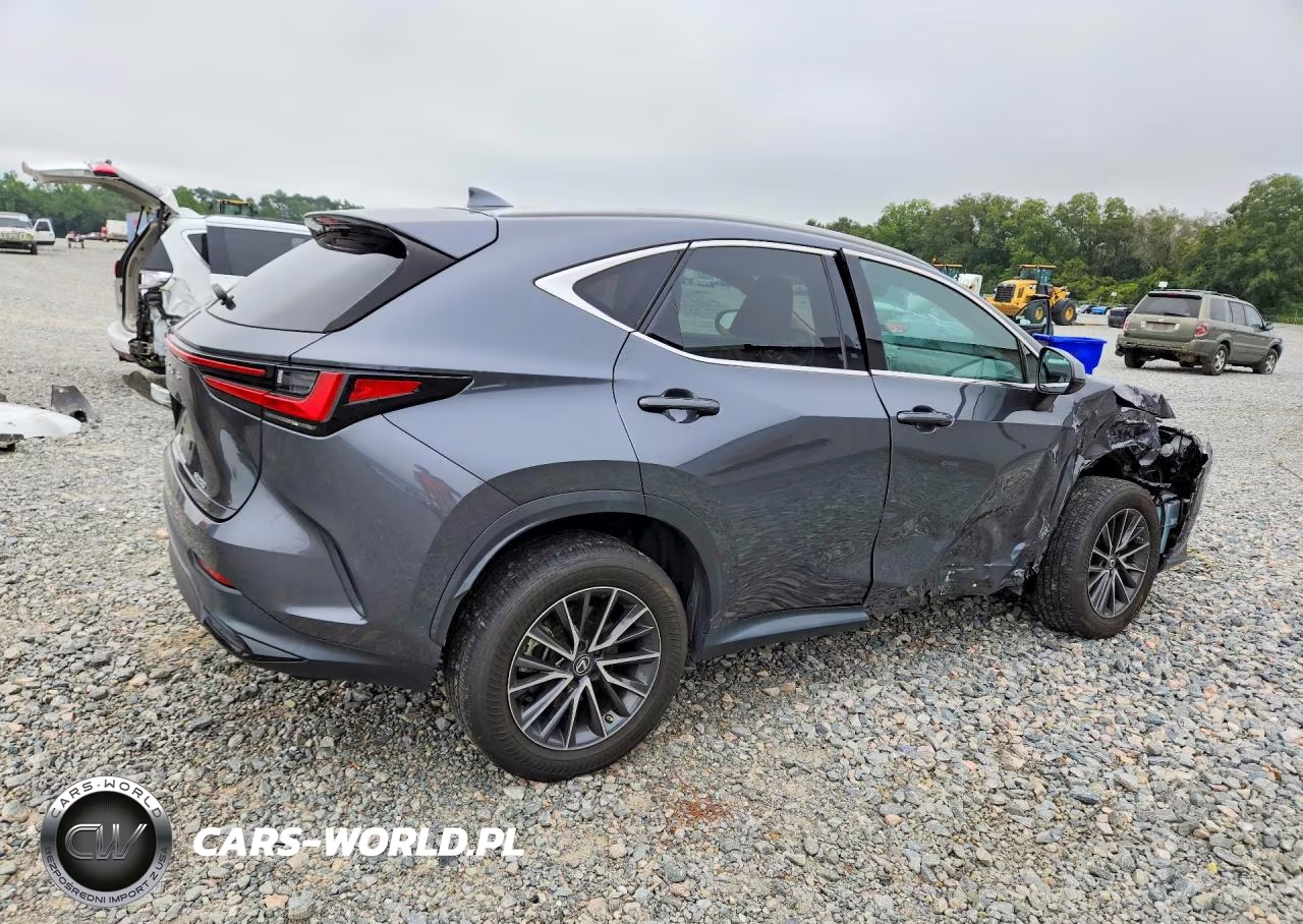 2023 Lexus Nx 250 VIN:2T2GDCAZ2PC005066 - 3