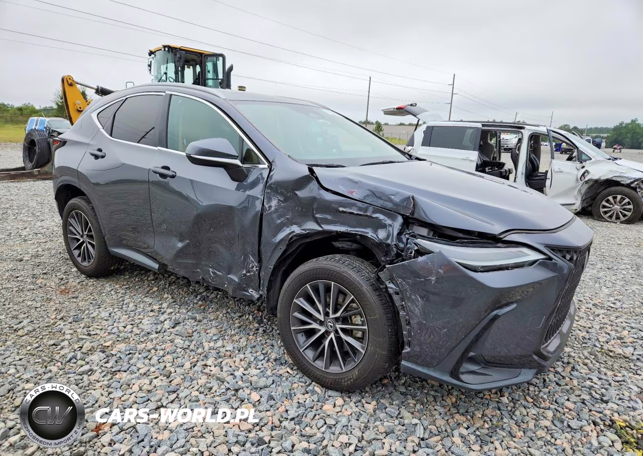 2023 Lexus Nx 250 VIN:2T2GDCAZ2PC005066 - 4