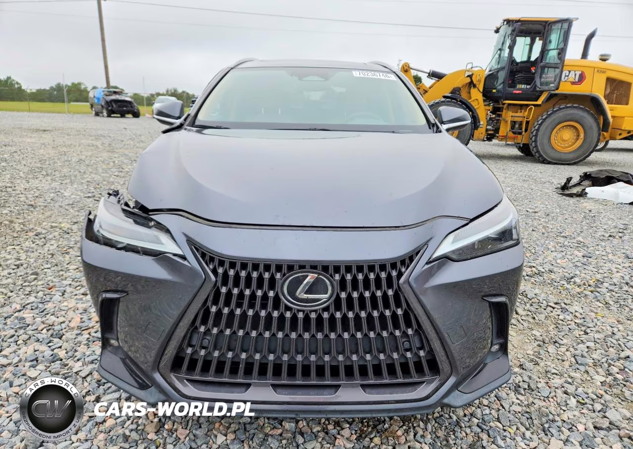 2023 Lexus Nx 250 VIN:2T2GDCAZ2PC005066 - 5
