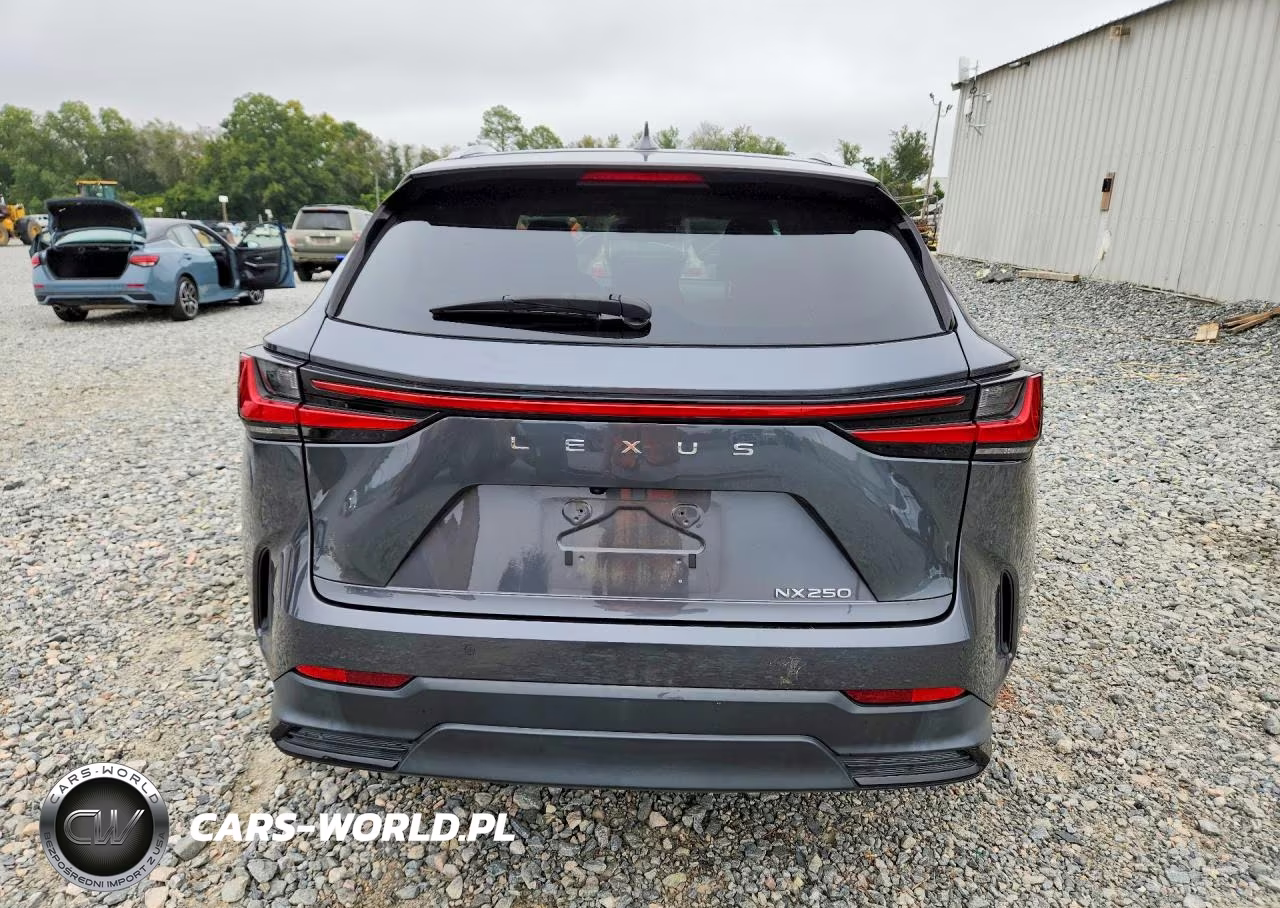 2023 Lexus Nx 250 VIN:2T2GDCAZ2PC005066 - 6