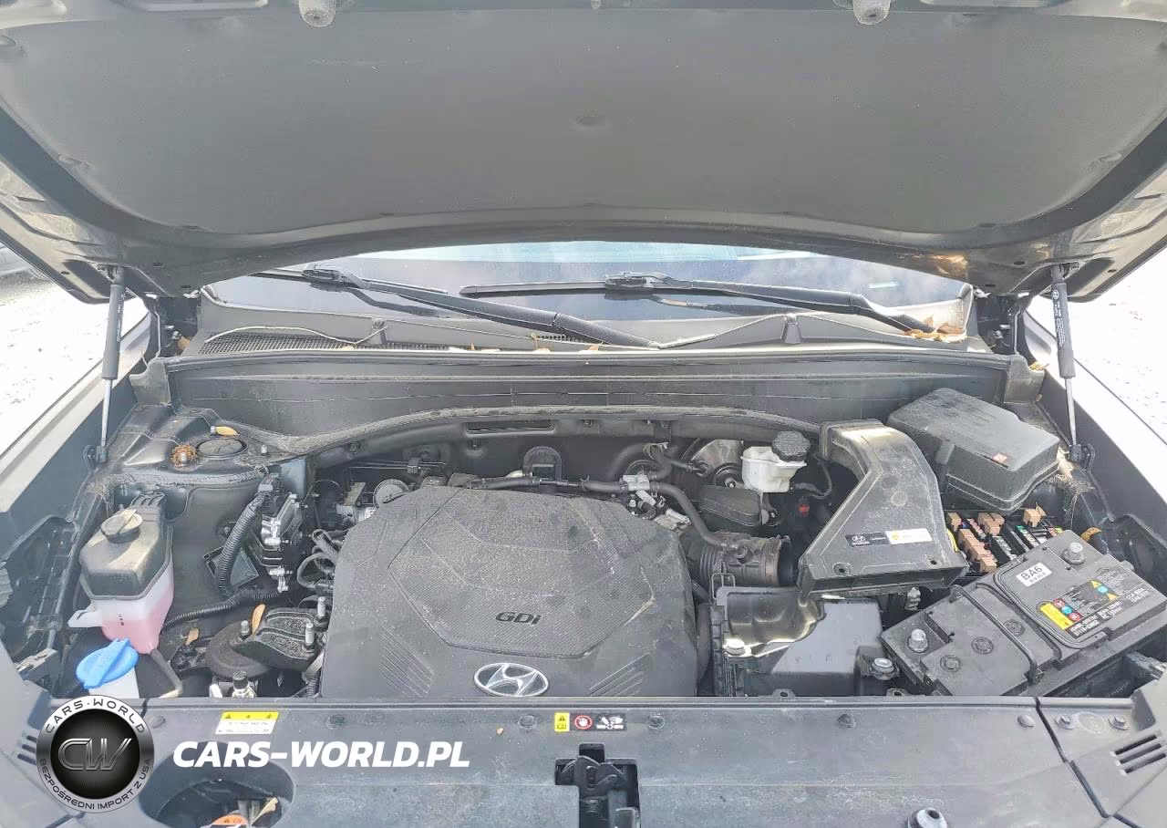 2024 Hyundai Palisade Calligraphy VIN:KM8R74GE8RU768371 - 12