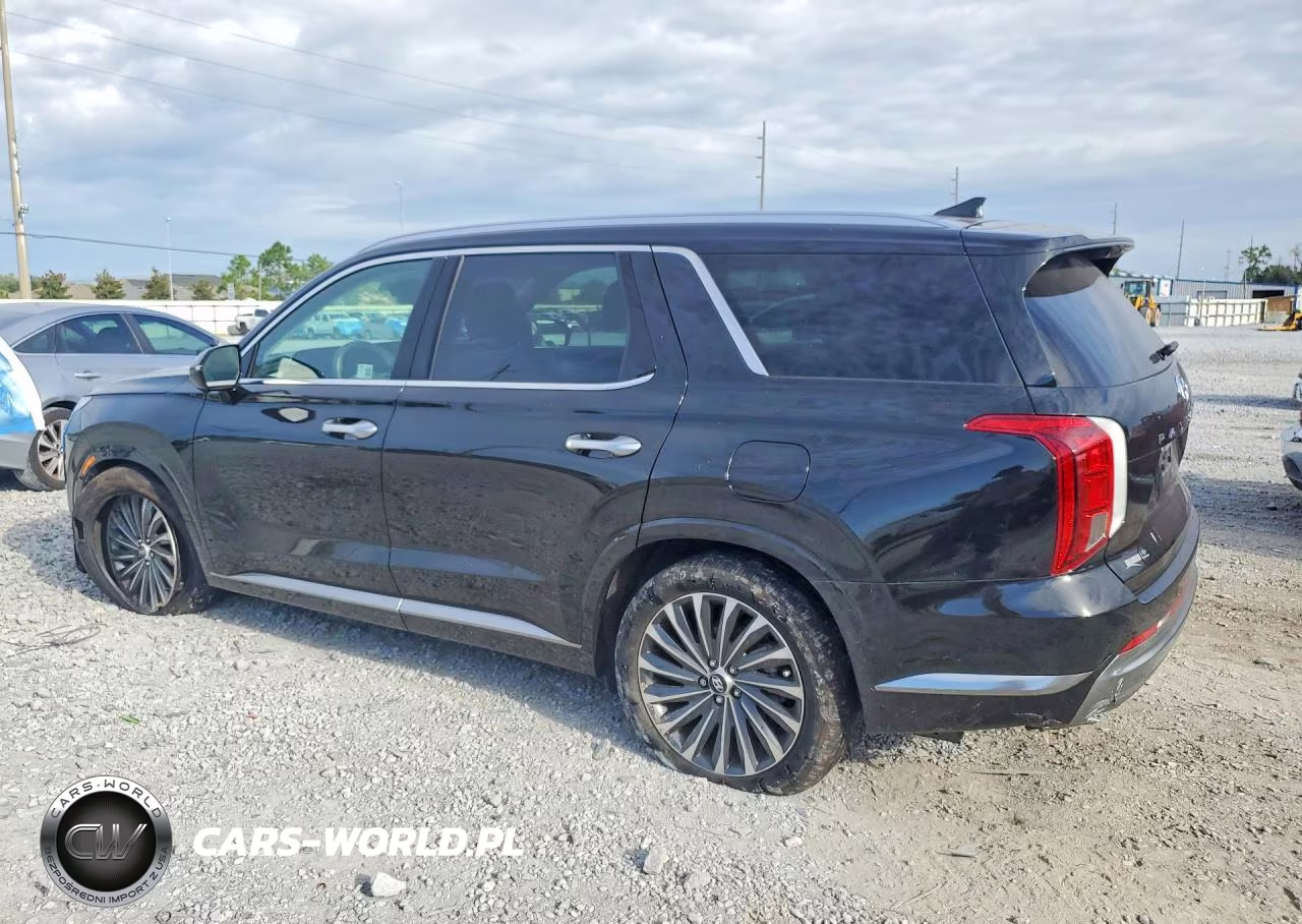 2024 Hyundai Palisade Calligraphy VIN:KM8R74GE8RU768371 - 2