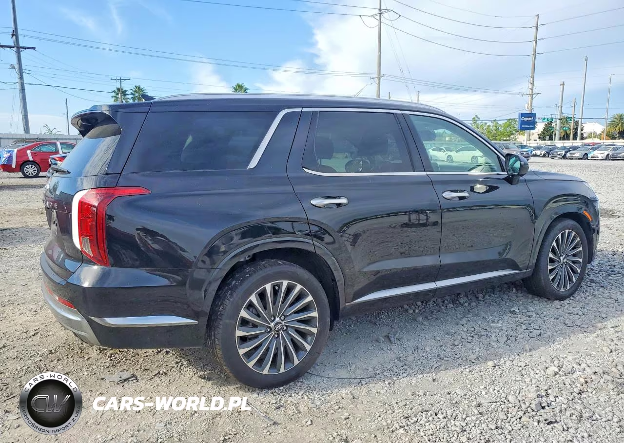 2024 Hyundai Palisade Calligraphy VIN:KM8R74GE8RU768371 - 3