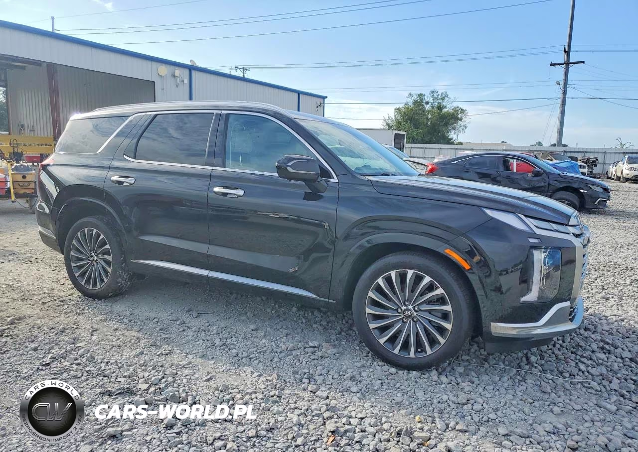 2024 Hyundai Palisade Calligraphy VIN:KM8R74GE8RU768371 - 4
