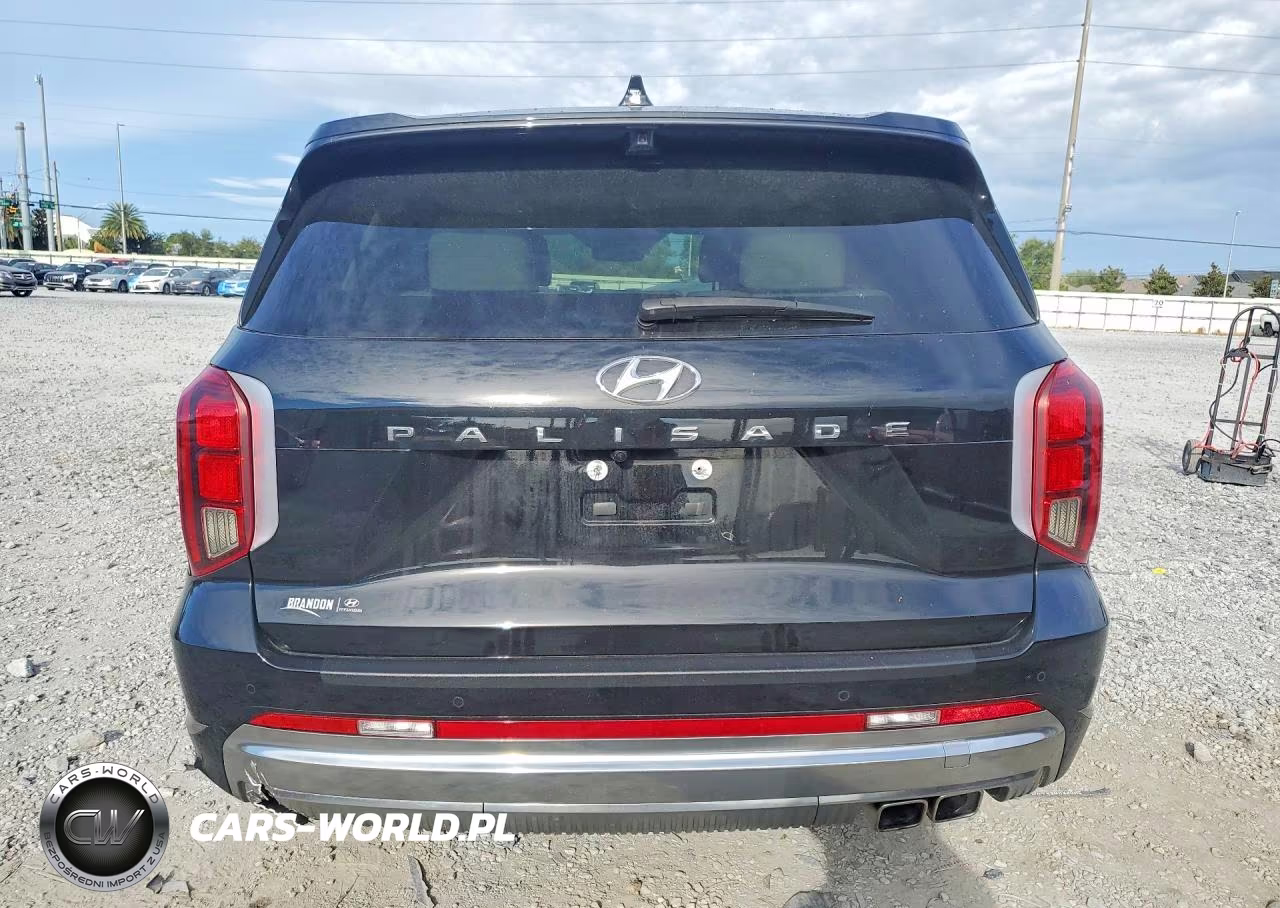 2024 Hyundai Palisade Calligraphy VIN:KM8R74GE8RU768371 - 6