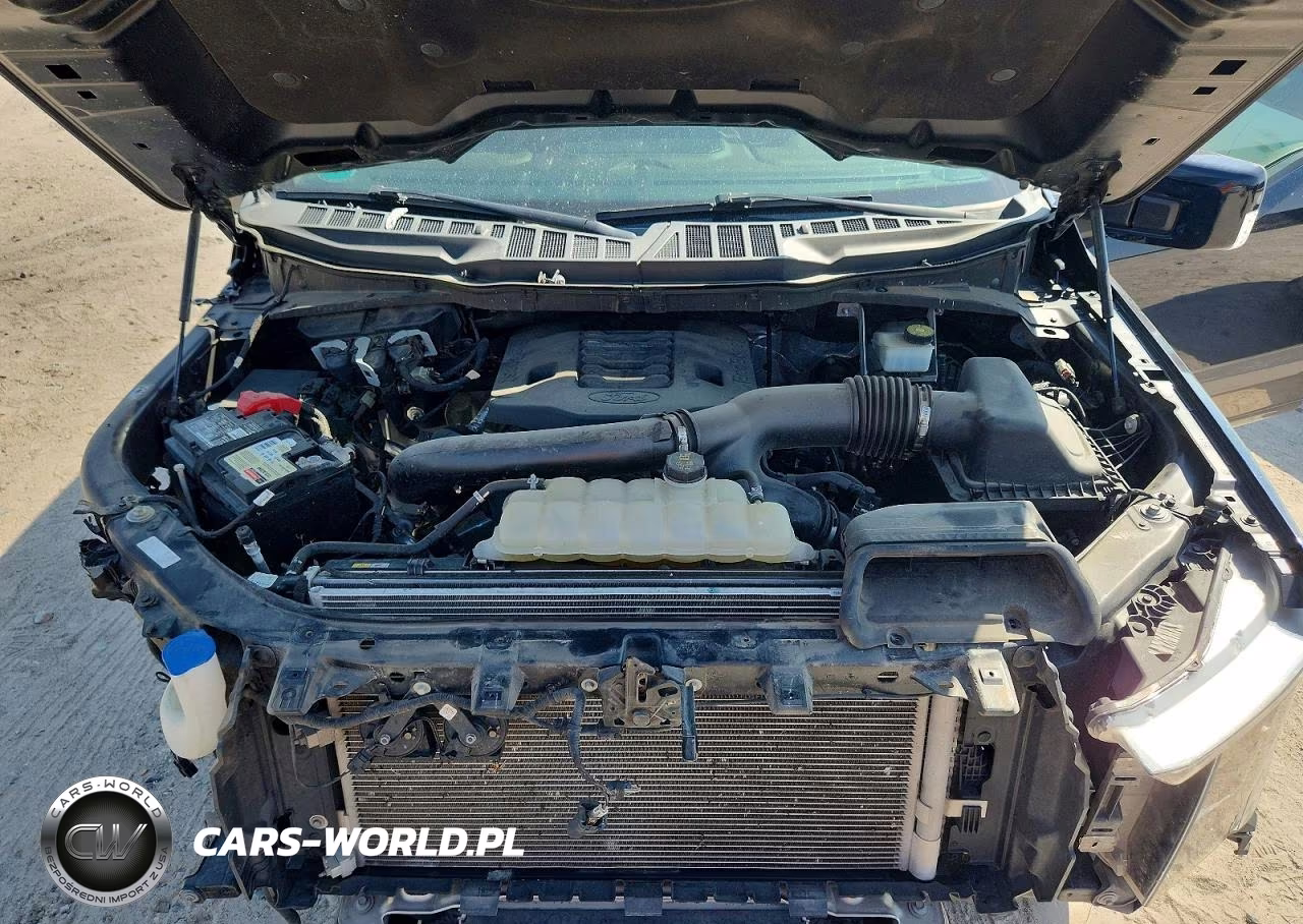 2022 Ford F150 Supercrew VIN:1FTFW1E88NFB90373 - 11