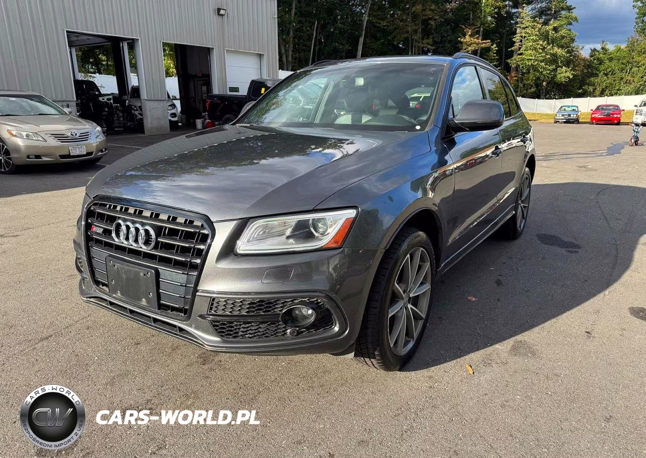 2016 Audi Sq5 Premium Plus VIN:WA1CCAFP7GA037916 - 1