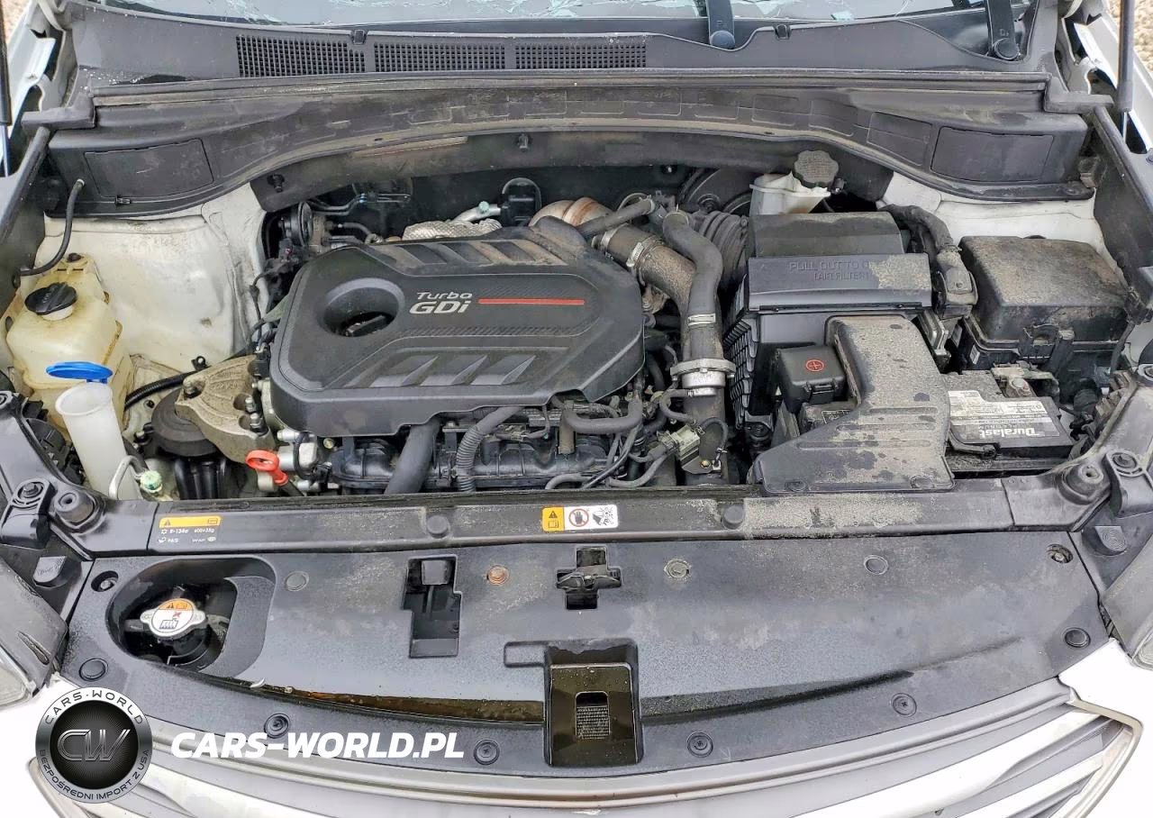 2017 Hyundai Santa Fe Sport 2.0T Ultimate VIN:5XYZW4LA7HG386794 - 12